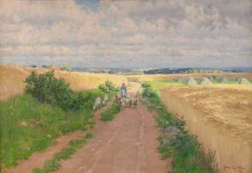 Mädchen im Sommerlandschaft
